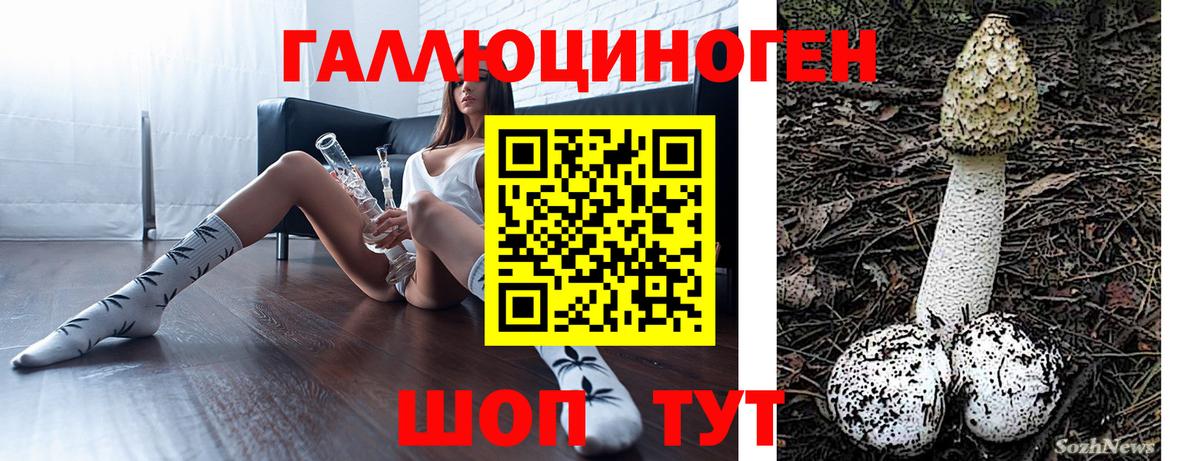 Галлюциногенные грибы Psilocybe Дедовск
