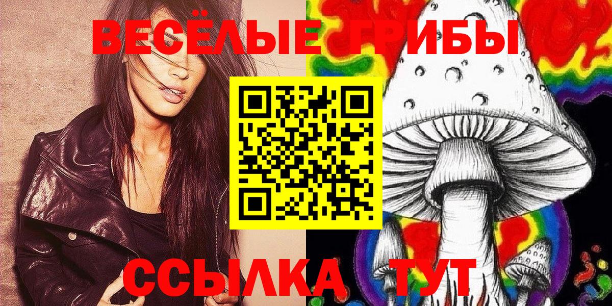 купить  цена  Галлюциногенные грибы ЛСД  Вход с VPN  Псилоцибиновые грибы GOLDEN TEACHER  Дедовск 
